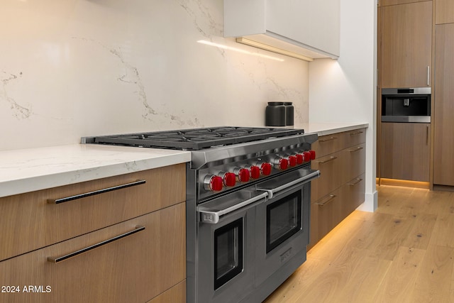 kitchen with light stone countertops, light wood-type flooring, and appliances with stainless steel finishes