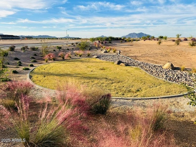 46922 W Coe St, Maricopa, AZ 85139 - view of rural area with a mountain backdrop