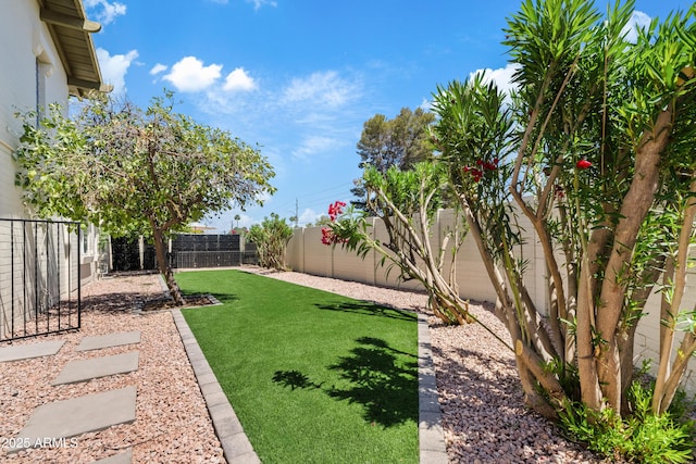 6001 N 10th Way, Phoenix, AZ 85014 - view of yard