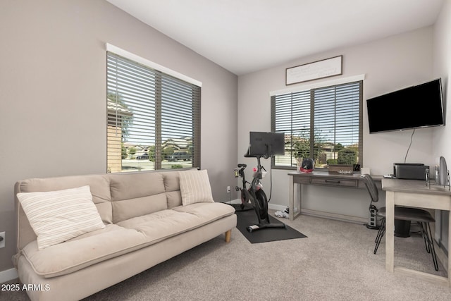 16573 W Alameda Rd, Surprise, AZ 85387 - living room featuring a wealth of natural light, baseboards, and carpet