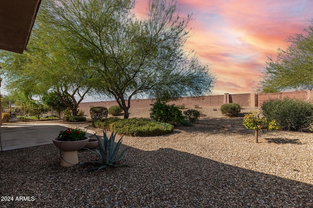 view of yard at dusk