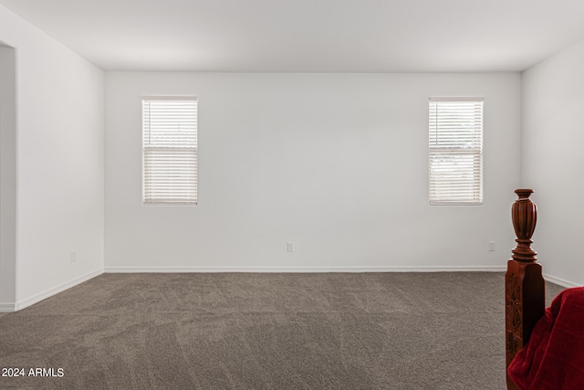 unfurnished room featuring a wealth of natural light and carpet flooring