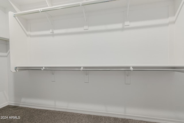 walk in closet with carpet flooring