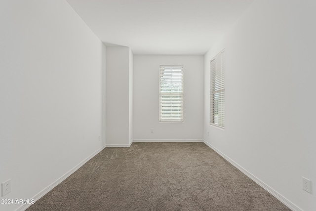 spare room with carpet