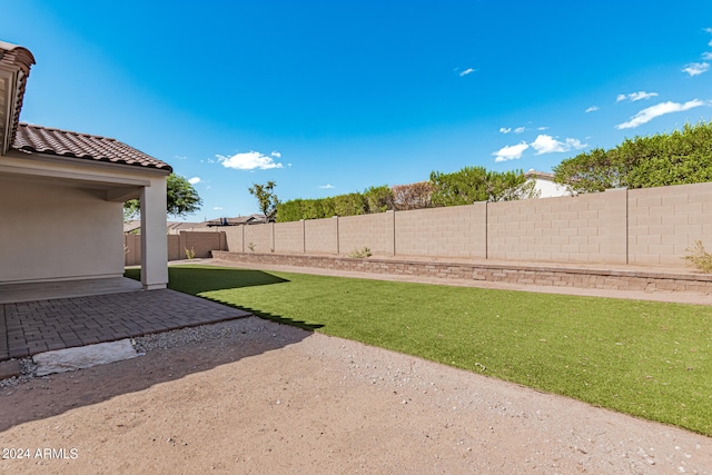 view of yard with a patio