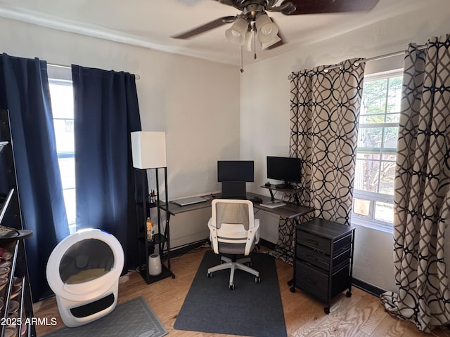 1222 E Almeria Rd, Phoenix, AZ 85006 - office featuring ceiling fan, healthy amount of natural light, and light wood-style flooring