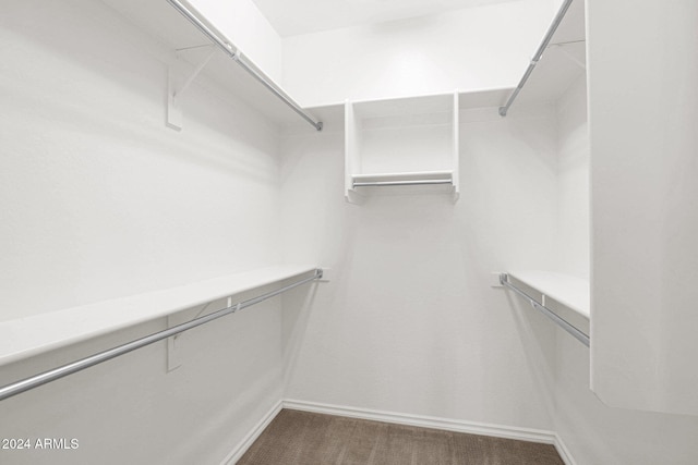 731 E Verde Blvd, Queen Creek, AZ 85140 - walk in closet with carpet