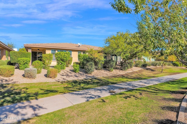 731 E Verde Blvd, Queen Creek, AZ 85140 - view of property hidden behind natural elements featuring stucco siding