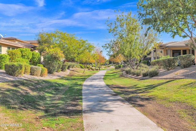 731 E Verde Blvd, Queen Creek, AZ 85140 - surrounding community featuring a lawn