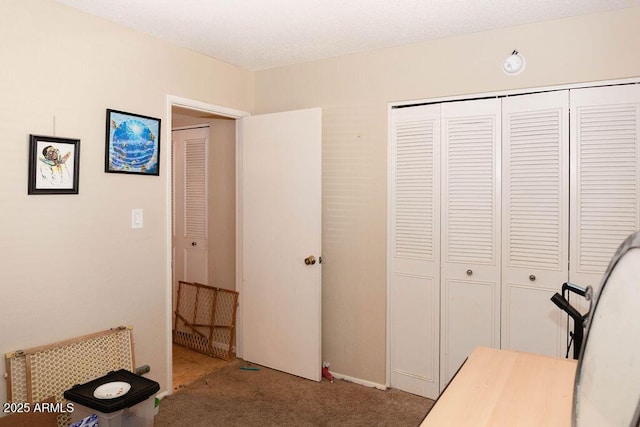 carpeted bedroom with a closet