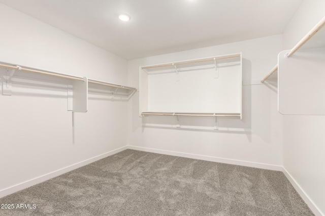 18189 W Hess St, Goodyear, AZ 85338 - walk in closet featuring carpet flooring
