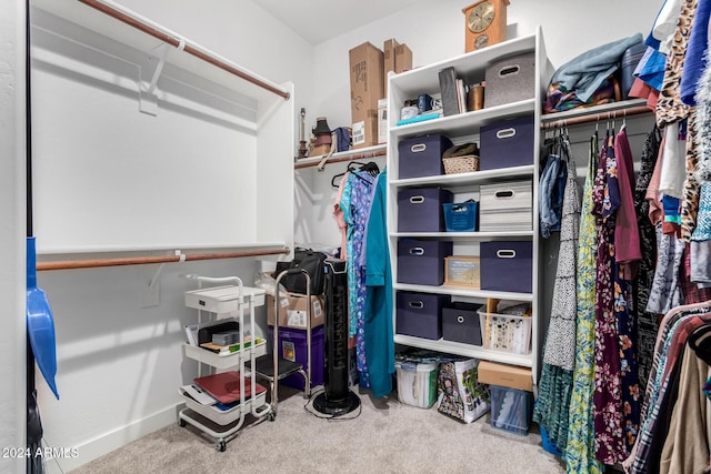 walk in closet featuring carpet flooring