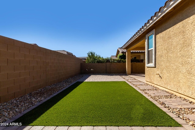 view of yard featuring a patio area