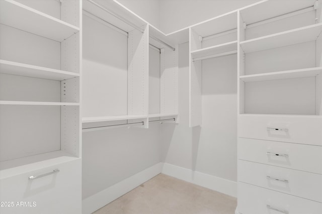 walk in closet featuring light colored carpet