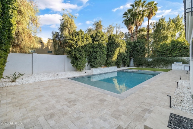 view of swimming pool featuring a patio