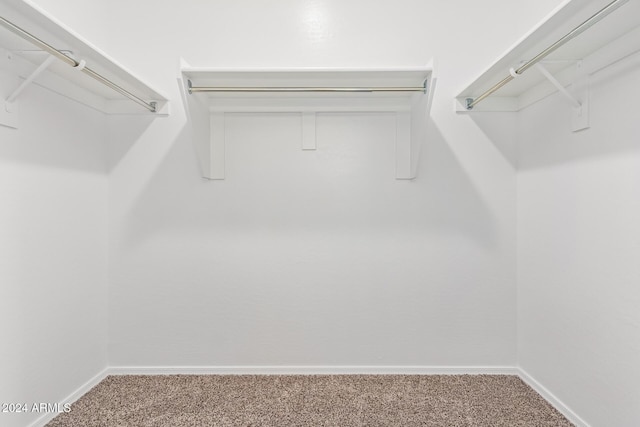 spacious closet with carpet floors