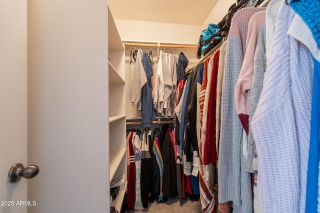 1956 N Hubbard Ln, Casa Grande, AZ 85122 - spacious closet with carpet flooring