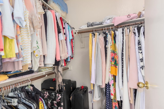 view of spacious closet