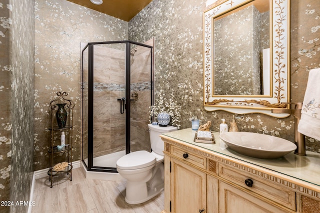 bathroom with vanity, toilet, and a shower with shower door