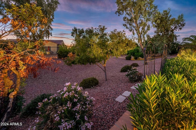 view of yard at dusk