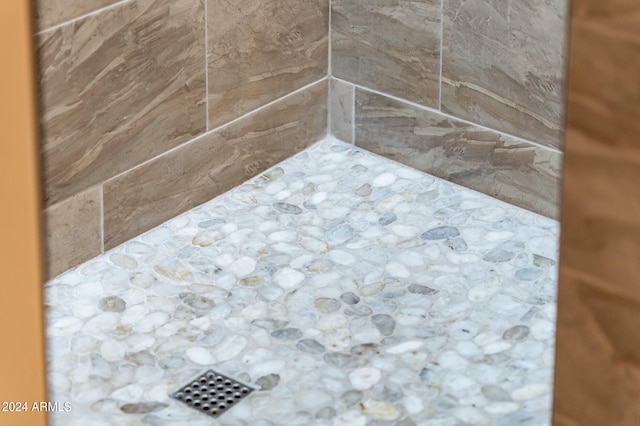 interior details featuring walk in shower