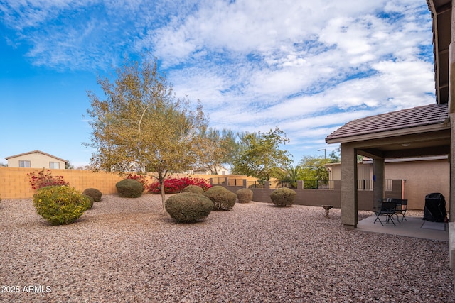 view of yard with a patio area