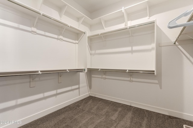 walk in closet featuring dark carpet