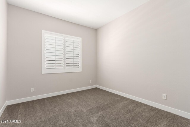 spare room with carpet floors