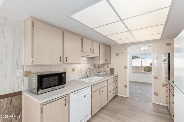 kitchen with sink, light hardwood / wood-style floors, ceiling fan, and appliances with stainless steel finishes