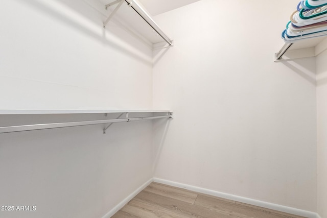 spacious closet featuring light wood-type flooring