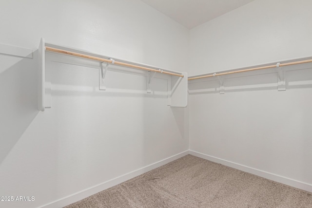 walk in closet with carpet