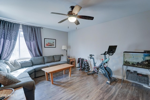 exercise area featuring ceiling fan and wood-type flooring