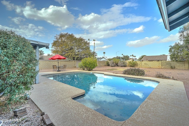 view of swimming pool