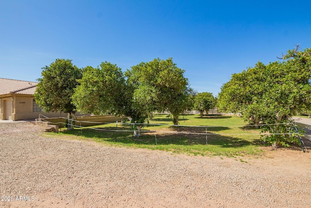 view of yard featuring a garage