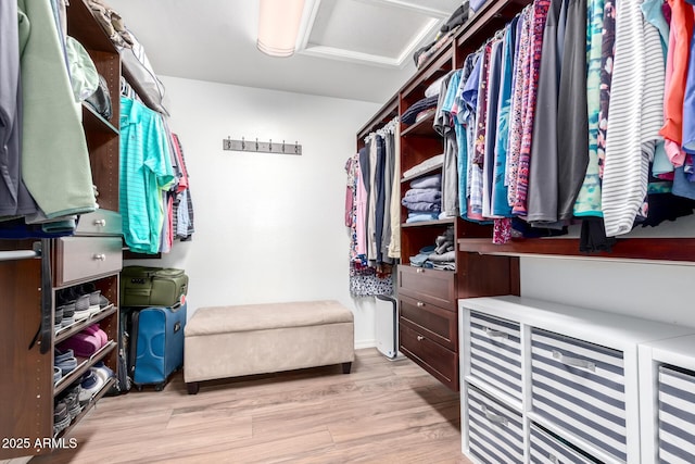 spacious closet featuring light wood-type flooring