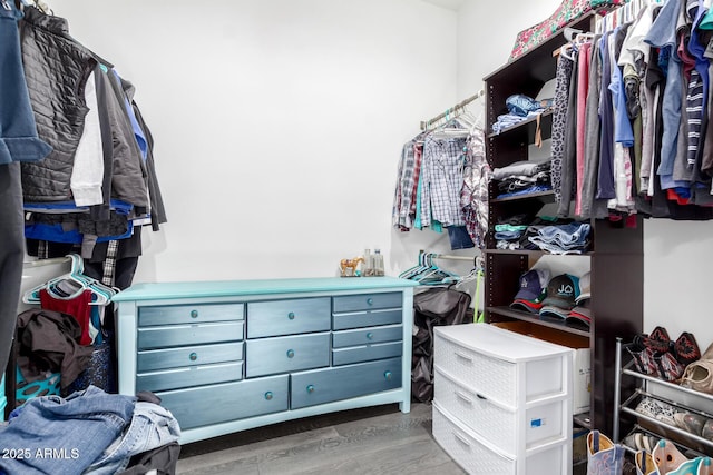 spacious closet featuring wood finished floors