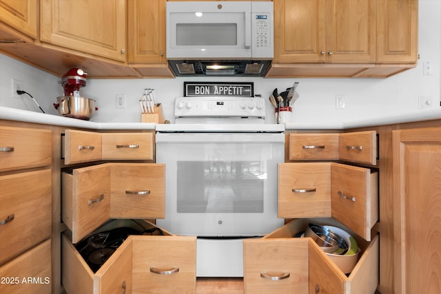 5024 S Citrus Ct, Gilbert, AZ 85298 - kitchen with white appliances and light countertops