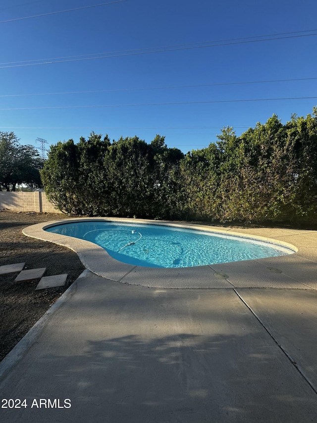 view of pool with a patio