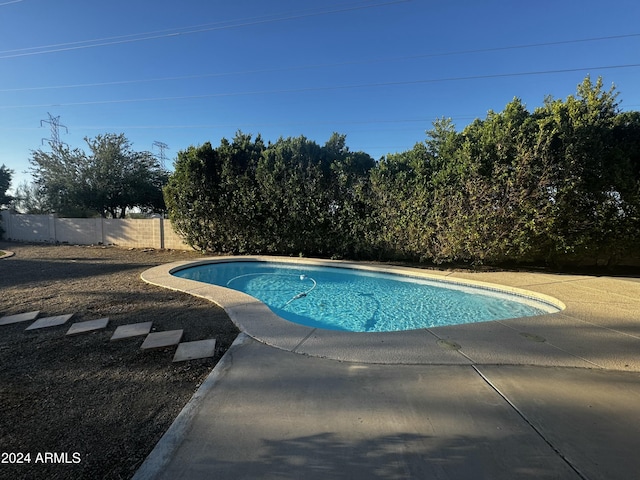 view of swimming pool with a patio