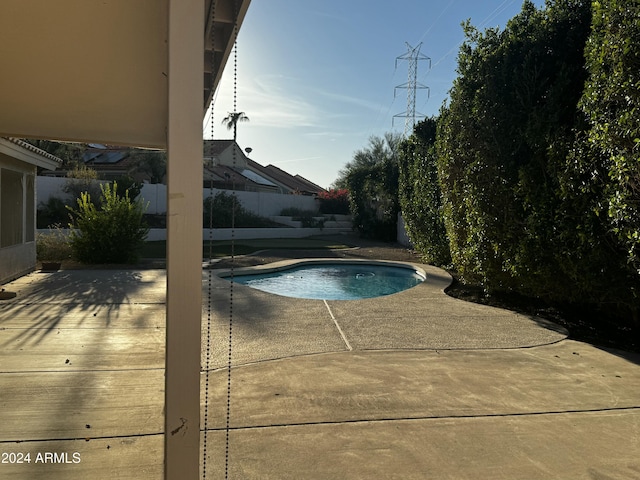 view of pool featuring a patio