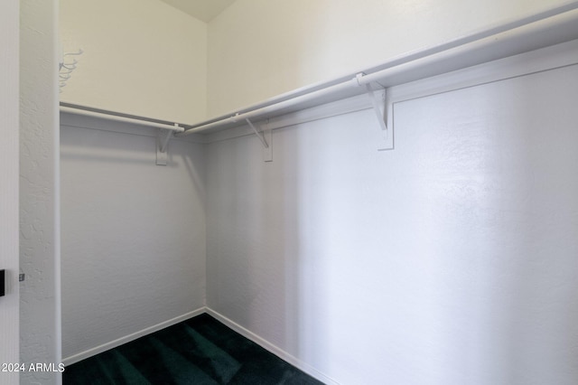 walk in closet with carpet flooring