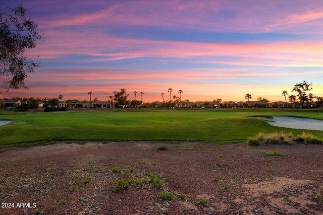 view of property's community with a yard