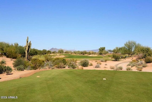 view of property's community with a yard