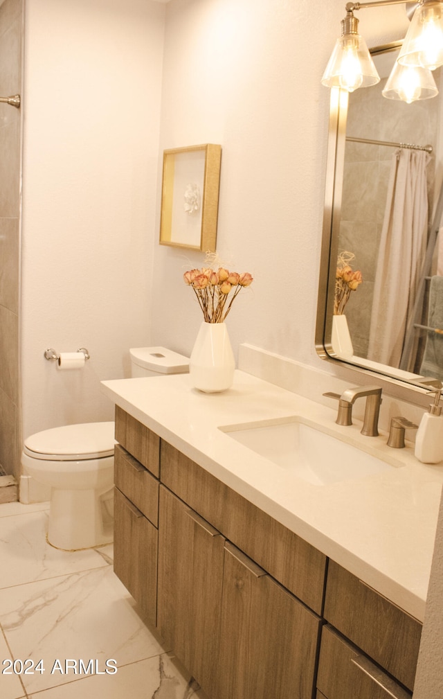 bathroom featuring a shower with curtain, vanity, and toilet