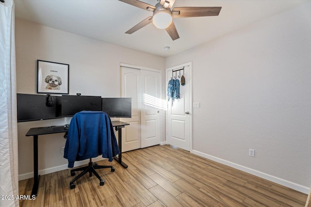 home office featuring ceiling fan and light wood-type flooring