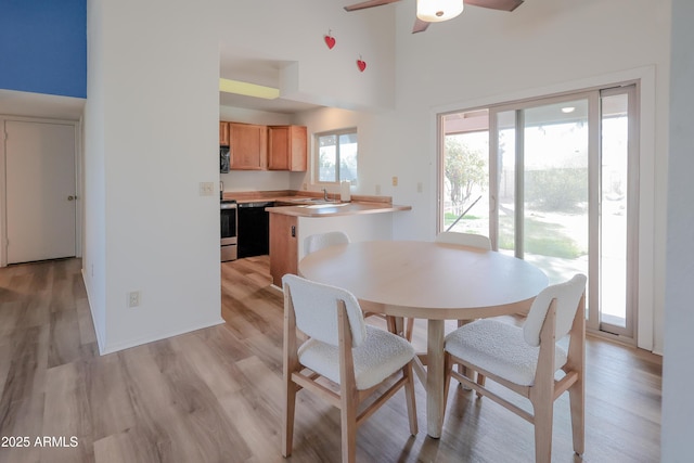 dining space with a high ceiling, ceiling fan, sink, and light wood-type flooring