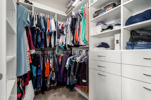 4137 E Stanford Ave, Gilbert, AZ 85234 - spacious closet featuring carpet
