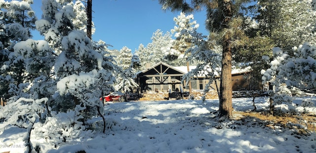 4990 N Pine Creek Canyon Dr, Pine, AZ 85544 - view of front of house