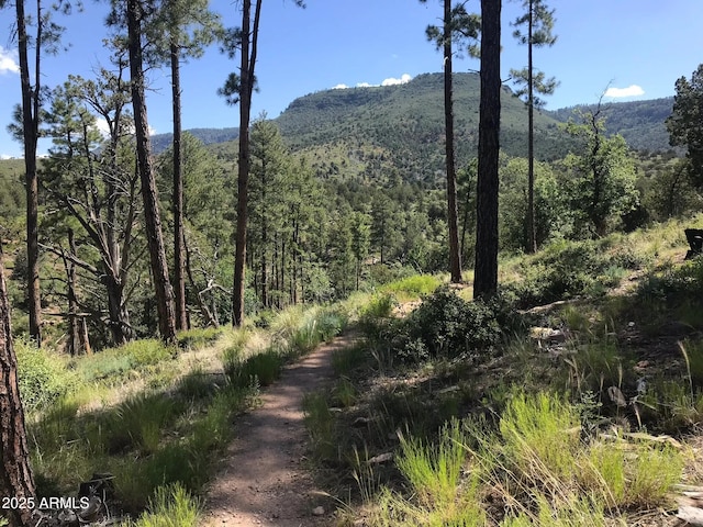 4990 N Pine Creek Canyon Dr, Pine, AZ 85544 - view of mountain backdrop with a forest