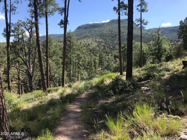 4990 N Pine Creek Canyon Dr, Pine, AZ 85544 - view of mountain backdrop with a forest
